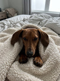 Duke — real photo